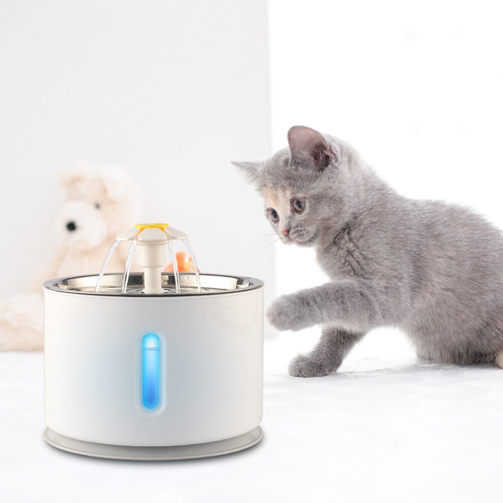 Cat drinking from the water fountain